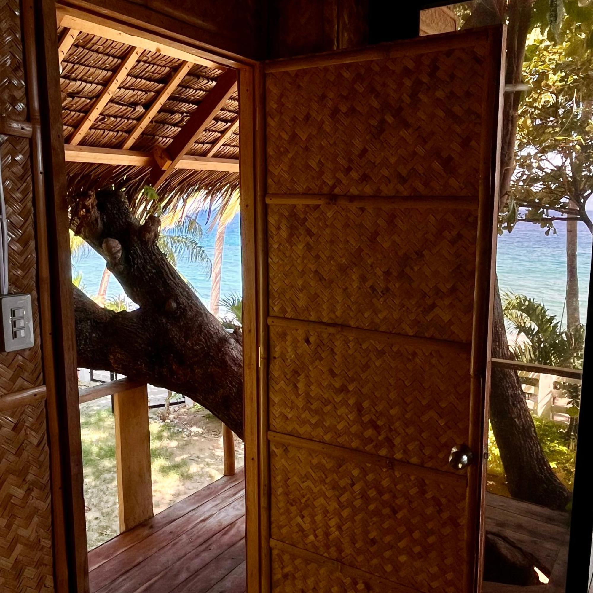 Amami Beachfront Villa With Private Beach Puerto Galera Exteriér fotografie