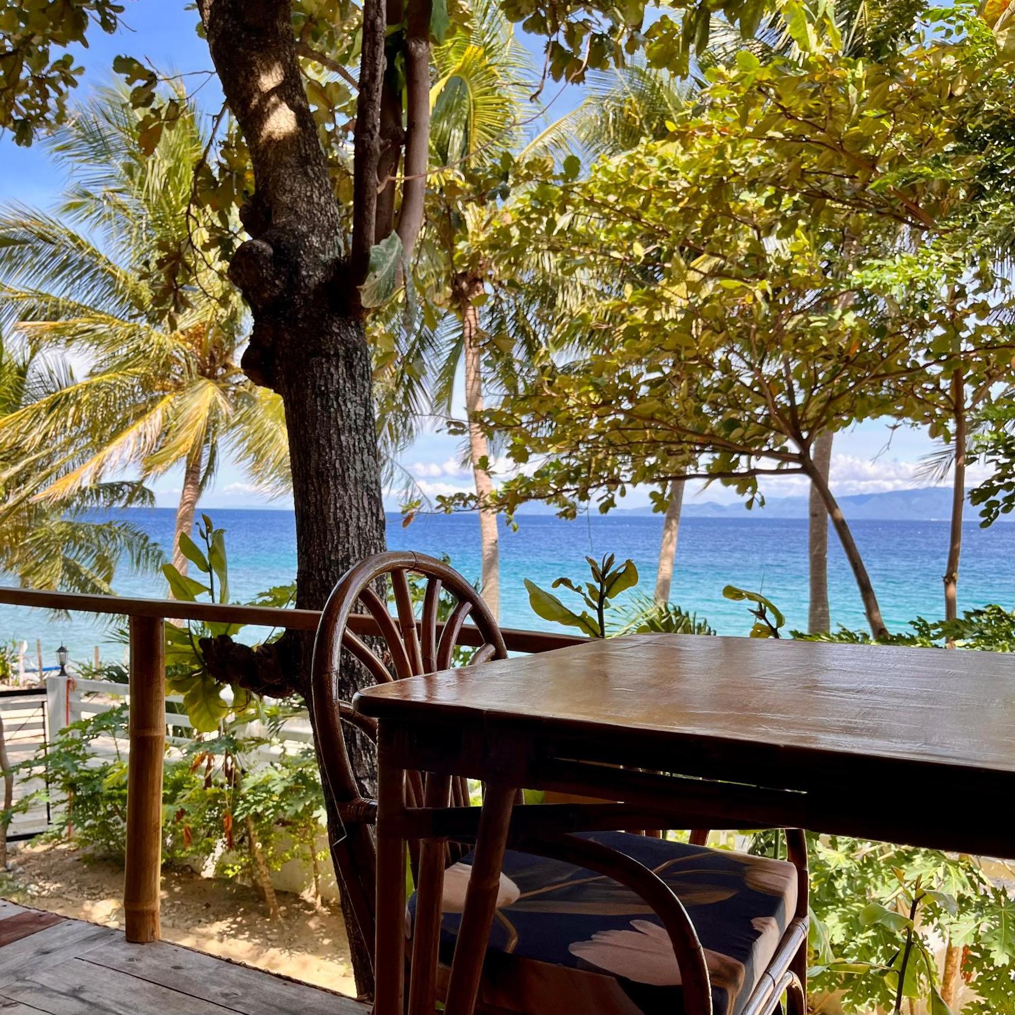 Amami Beachfront Villa With Private Beach Puerto Galera Exteriér fotografie